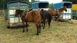 VI Ruta Cabalar de Begonte